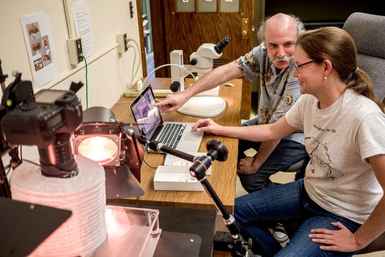 Sarah Smith and Anthony Cognato inspect beetle images