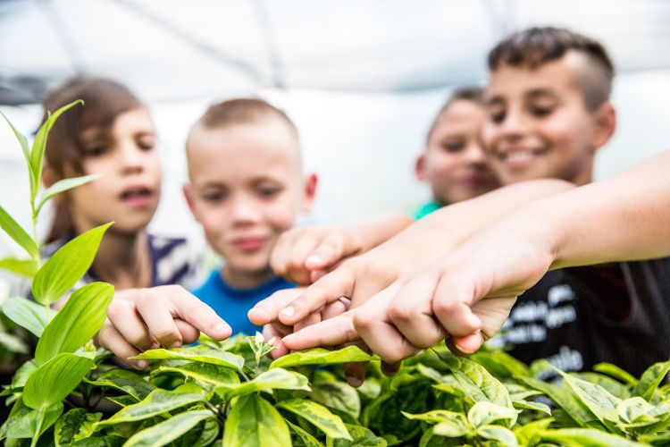 Kids in front of a plant.