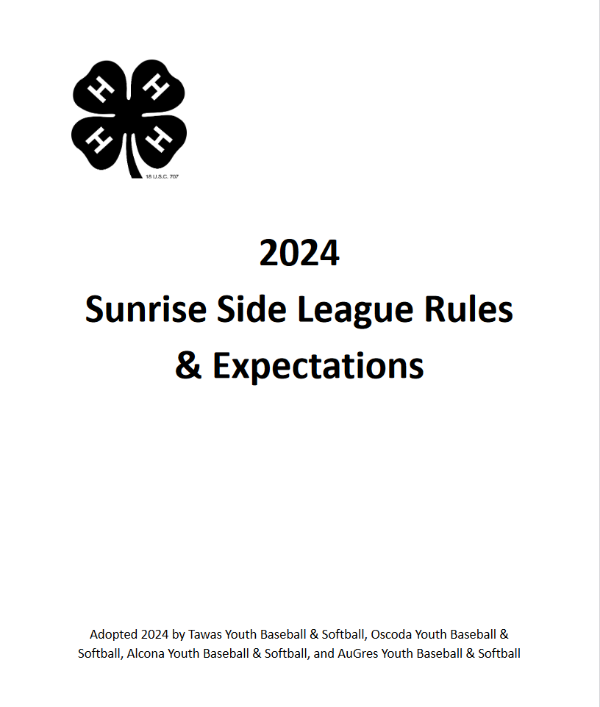 Image of Rule Book cover