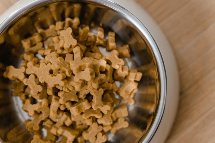 Dog kibble in the shape of bones in silver food bowl.