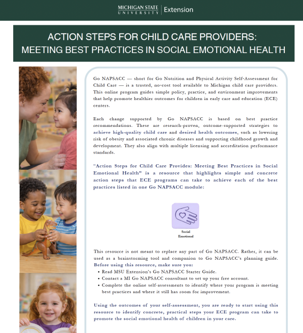 Cover photo for the Action Steps for Child Care Providers: Meeting Best Practices in Social Emotional Health document featuring photos of happy children in an early childhood classroom setting.