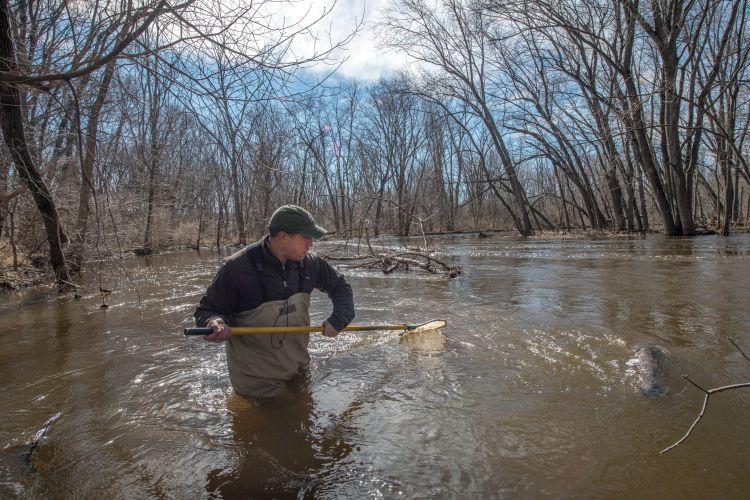 Brian Roth hunting for crayfish