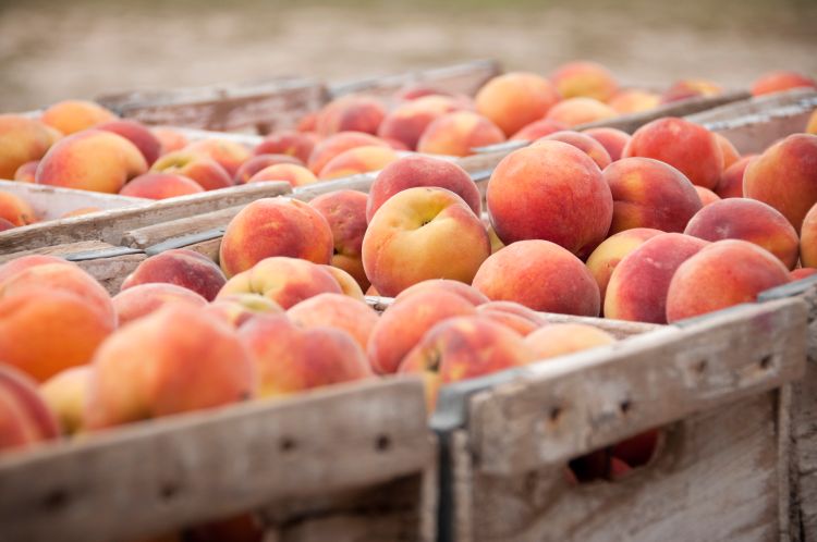 Peaches in boxes.