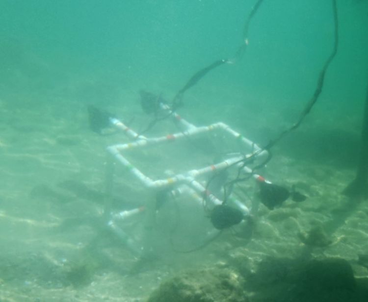 Underwater ROV in action.