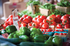 Driving Toward a Food-Secure Future