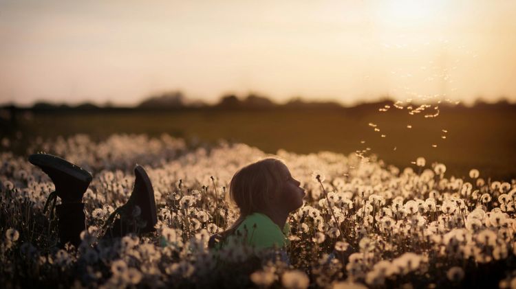 A girl blows a dandelion in a field while the sun sets behind her.