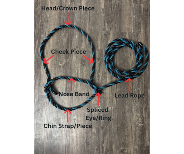 A rope halter with labeled parts.