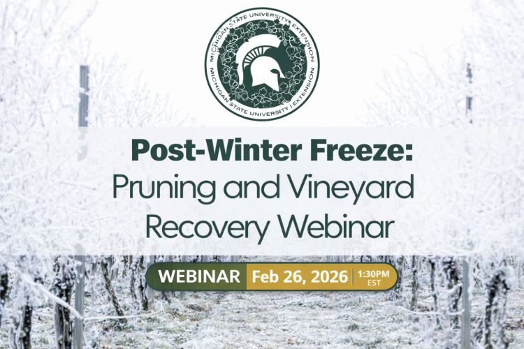 For decorative purpose.