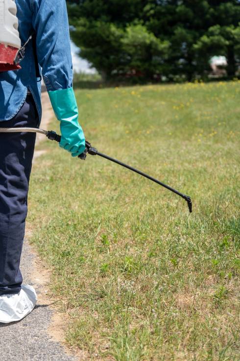 Applicator Applying Pesticides
