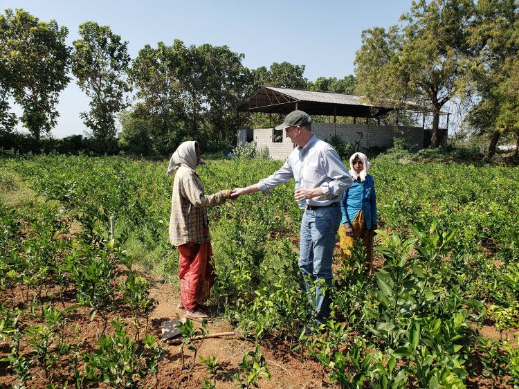 Man shaking woman's hand in field