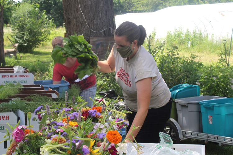 Person wearing a mask packs produce in a box.