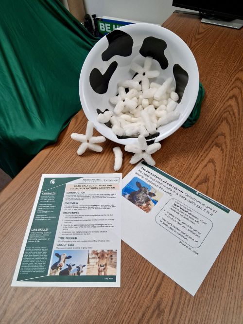 Antibody models in a bowl next to the printed resources on a table.