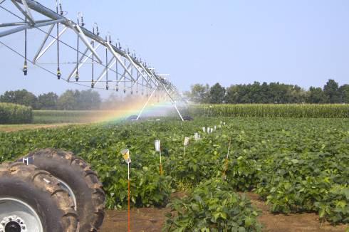 Irrigation system