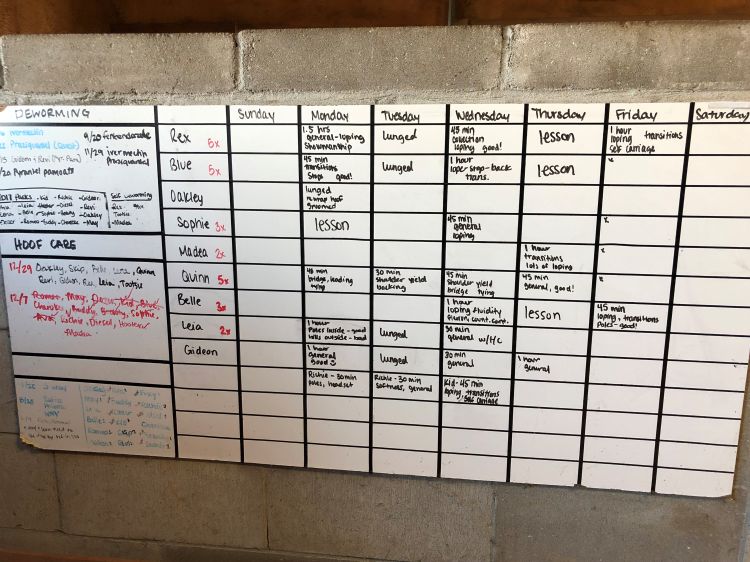A personalized dry erase board can be a great gift for the horse farm owner. Photo by Karley VanWormer.