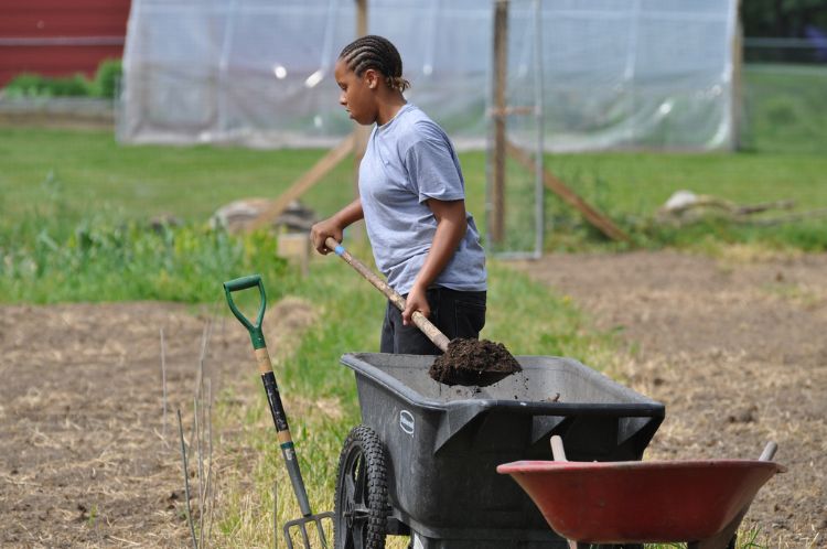 Photo: Youth from the Ingham County Family Center have created and maintain a 4-H community garden. Photo credit: Michelle Lavra