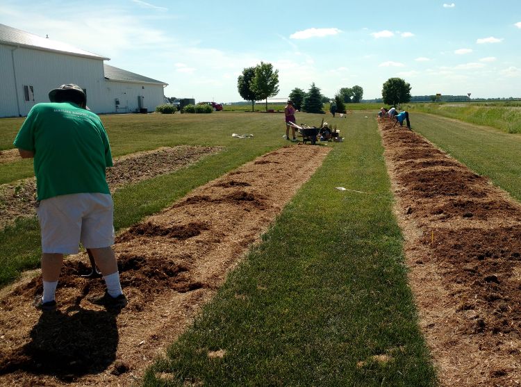 Genesee County Master Gardeners helping to establish flowering trees and shrubs at the Saginaw Valley Research and Extension Center.