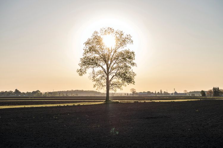 Saginaw Valley Research and Extension Center