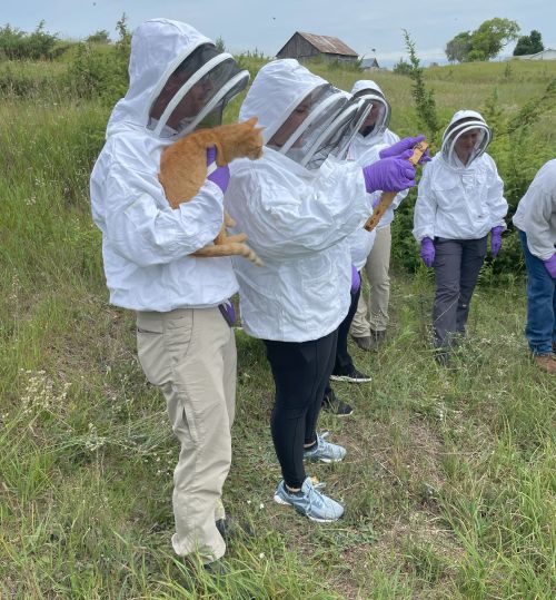 Veterinarians wearing beekeeping suits inspect a bee frame. One person is holding an orange cat.