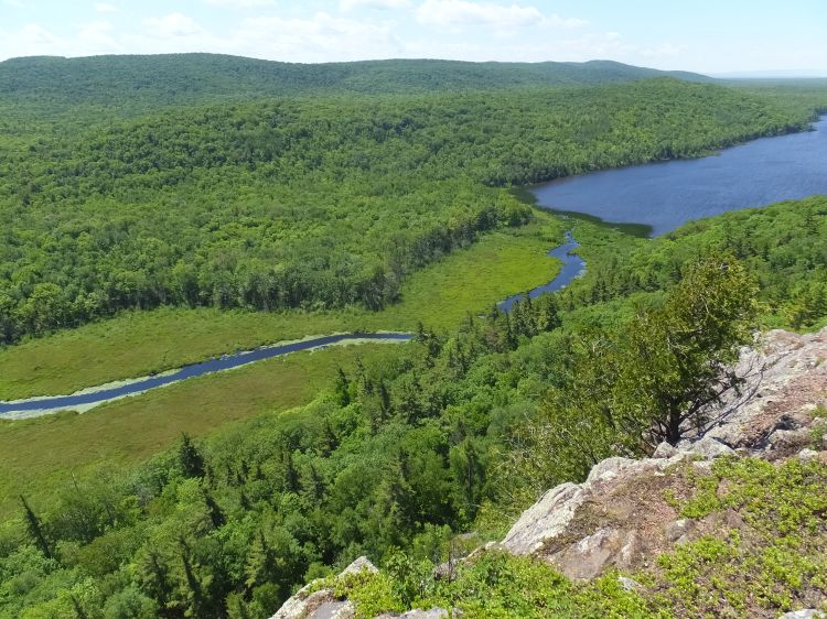 Land protection can benefit freshwater species by protecting the features that facilitate movement from one waterbody to another. An example of a lake that is accessible to both aquatic (e.g., fish) and semi-aquatic wildlife (e.g., amphibians) is the Lake of the Clouds in Porcupine Wilderness State Park in Michigan’s Upper Peninsula. Aquatic wildlife can access the lake via the Upper Carp River, whereas semi-aquatic wildlife can access the lake through the surrounding wetlands and forest. Photo: Ian McCullough.