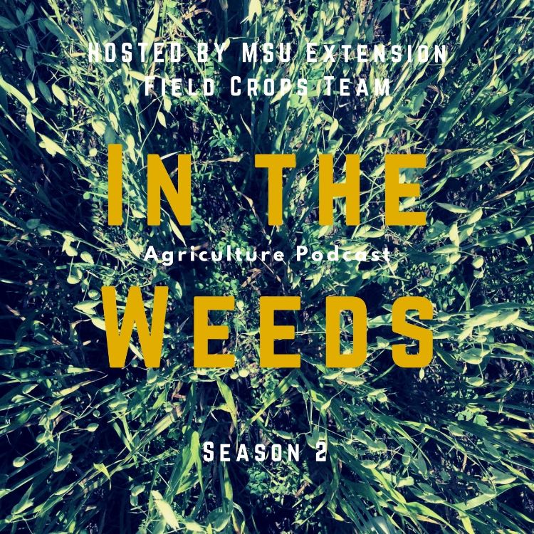 In the Weeds promo graphic