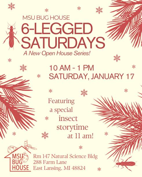 Outlines of pine branches, insects, and snowflakes frame text that reads 