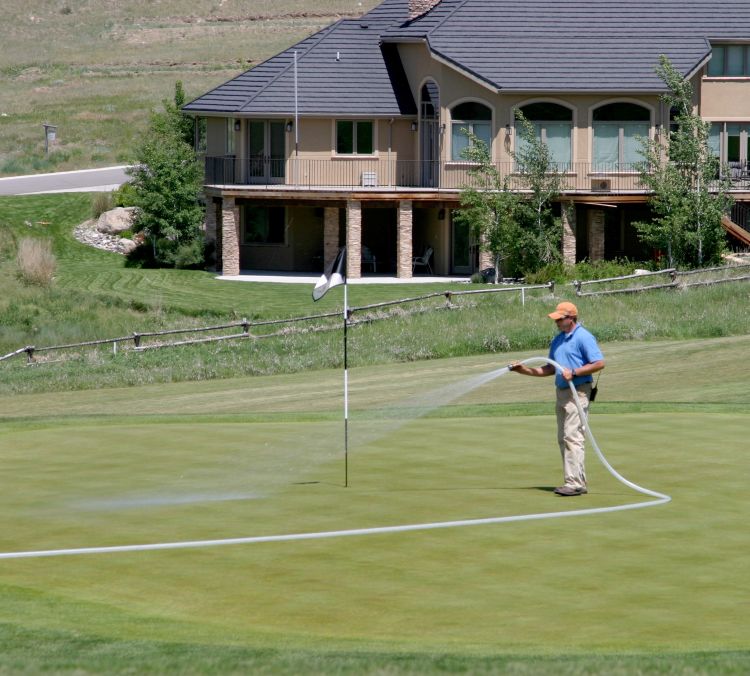 Syringing putting greens