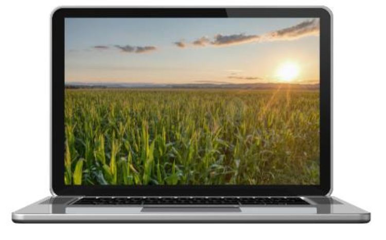 laptop with an image of a field on the screen