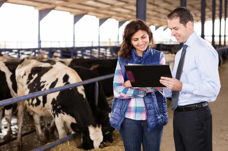 A man and woman reviewing paperwork