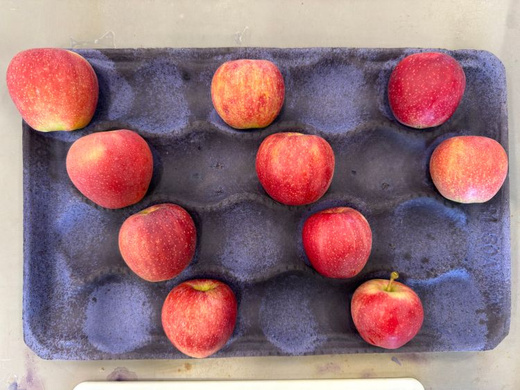 10 red apples in a carton.
