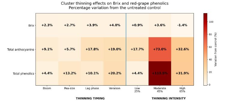 decorative graphic depiction of Brix explained in the caption and discussed in the story
