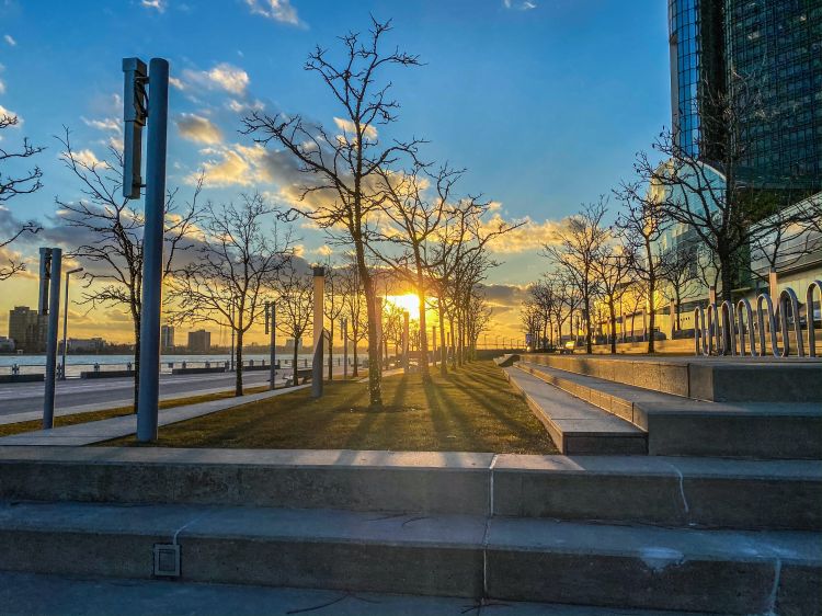 Bare trees along a concrete pathway lining a river.