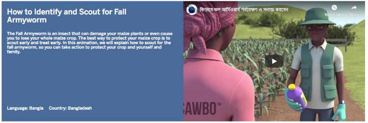 SAWBO educational video screen capture on Fall Armyworm.