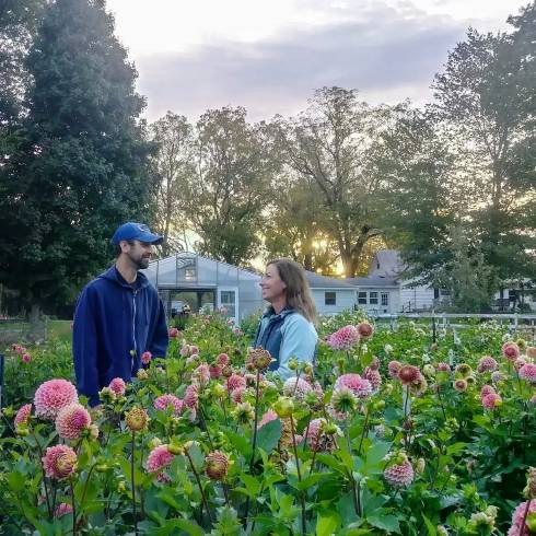 Three Acre Farm owners in dahlia field.