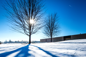 MSU Forestry Alumni Updates - January 2022