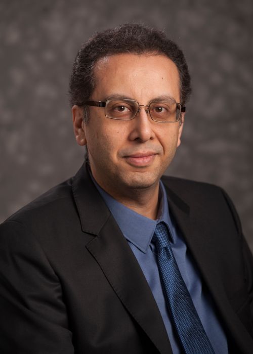 Photo of Dr. Pouyan Nejadhashemi