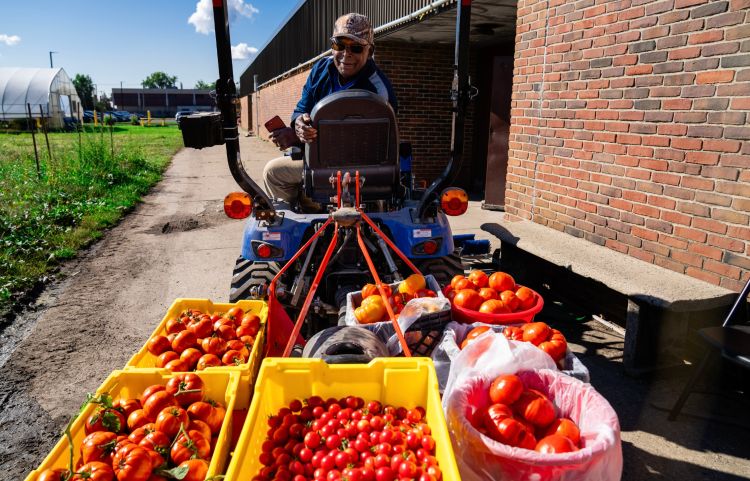 A farmer hauls tomatoes with a tractor at Drew Farm in Detroit, Michigan