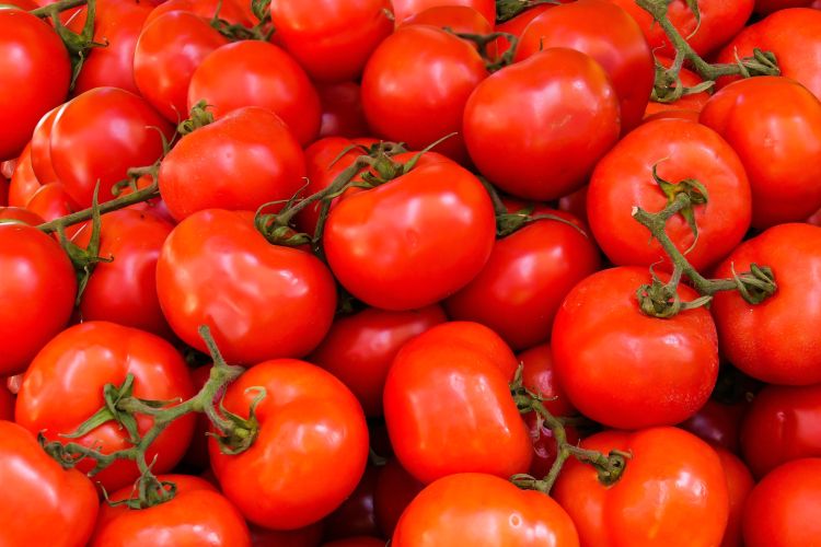 Various tomatoes.