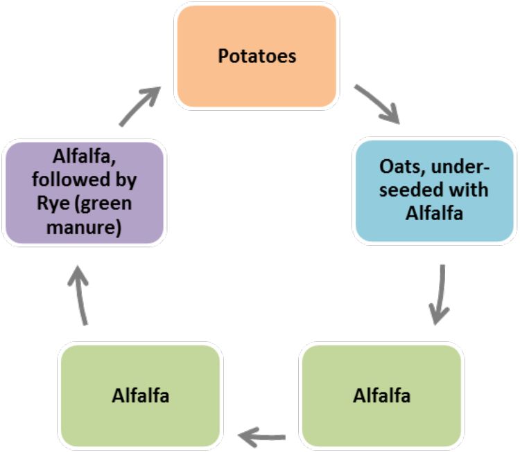 Proposed five-year cropping rotation l MSU Extension