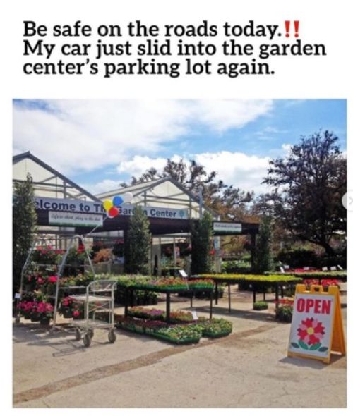 A garden display at a retail store.