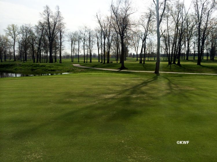 In some cases, winterkill mirrors shade patterns. Photo by Kevin Frank, MSU