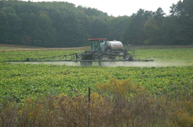Right to Farm Act can preempt local regulation authority, but not all local regulations. Photo credit: Kurt Schindler l MSU Extension