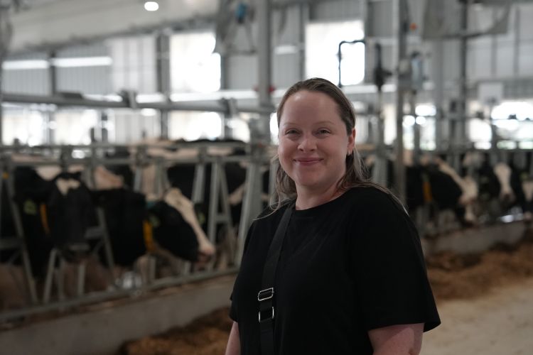 woman standing in front of cows in a barn