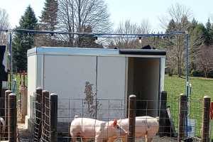 Standard operating procedures for your swine production system - Pork