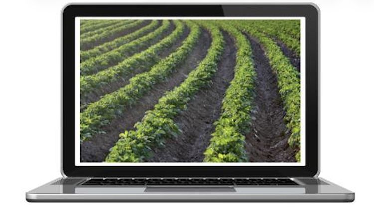 Computer with image of potato field on the screen