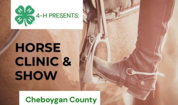 Cowboy's boot stepping onto horse stirrup