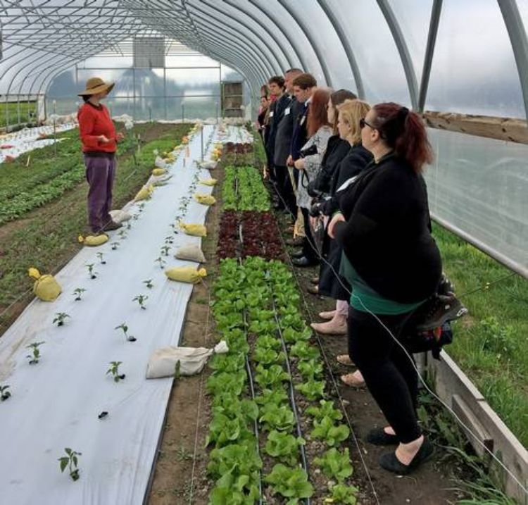 Students touring greenhouse.