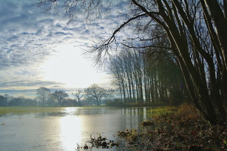 Water in field