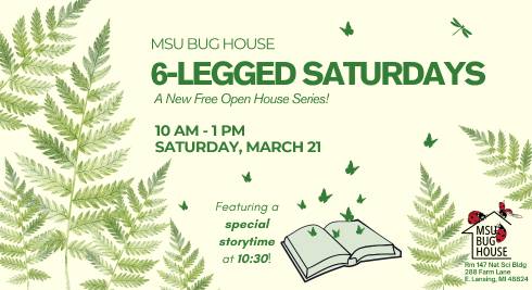 ferns frame text that reads 