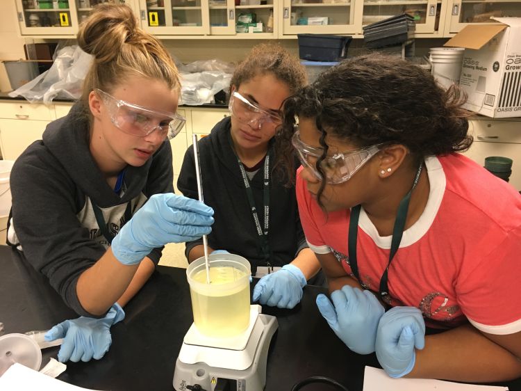 Campers making biofuel