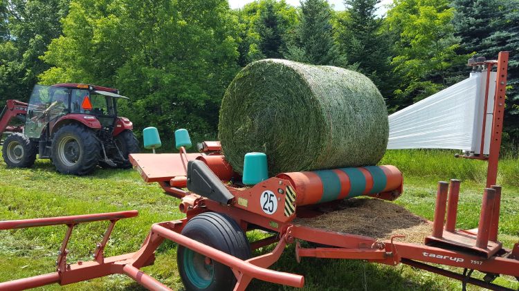 Round bale